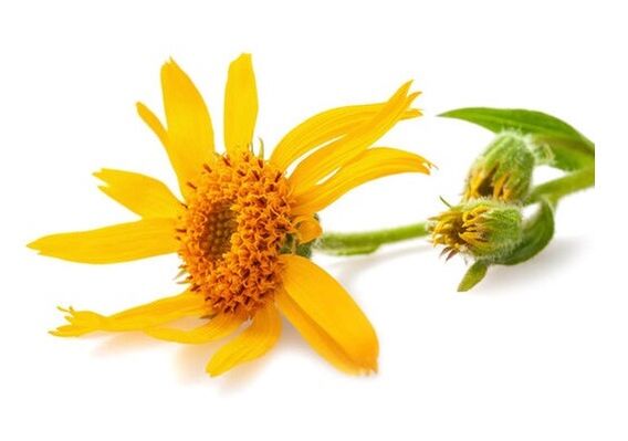 Depanten with Arnica