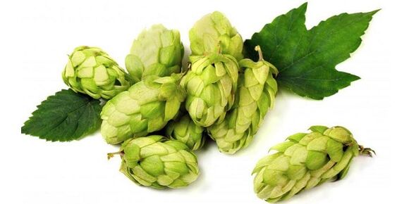 You can use hop cones to prepare an ointment for the treatment of osteochondrosis of the neck. 