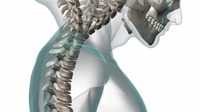 Cervical spine and osteochondrosis